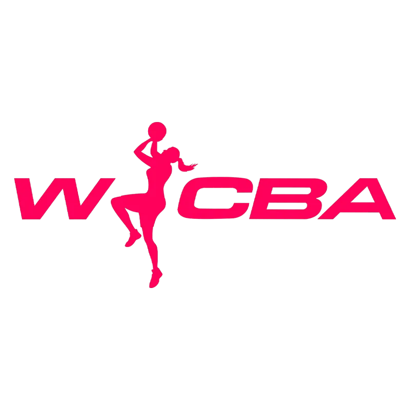 WCBA 合肥文旅vs河南豫光金铅20250126